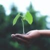 Sustainable materials at Label Craft